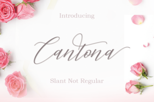 Cantona: Elevating Designs with Handwritten Elegance