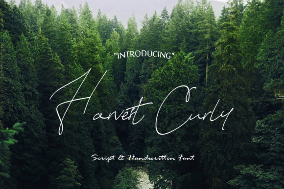 Harvest Curly: A Handwritten Font for Authentic Design